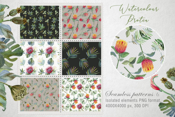 Seamless Pattern Watercolor Protea and Patterns