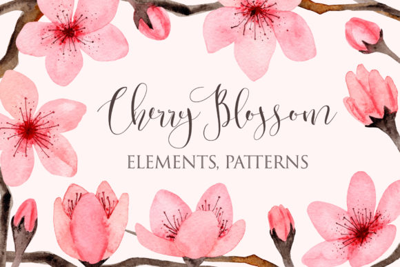 Watercolor Cherry Blossom. Patterns