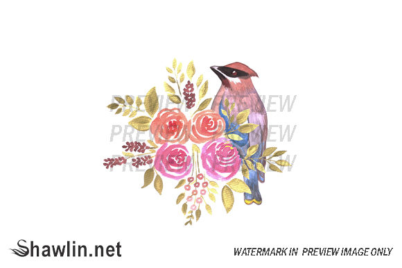 Watercolor Flowers Bird and Web Elements